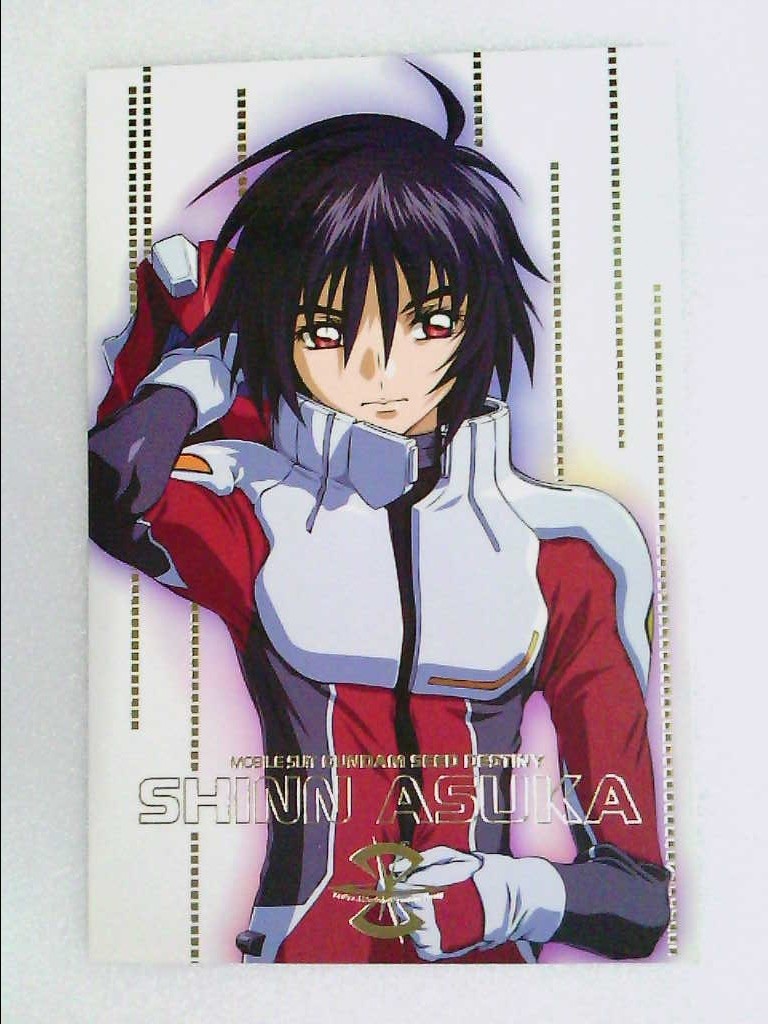 ★Shinn ★ Angry Shinn Asuka Action Figure | Gundamit Store