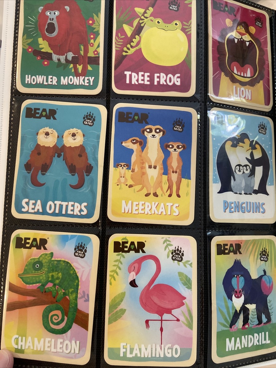 Bear Fruit Snack Animal Cards - Various animals - Complete Your