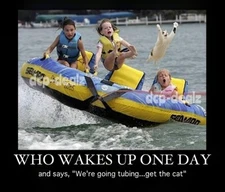 F218 FUNNY CAT TUBING MEME Fridge Magnet Decal Poster Metal Sign