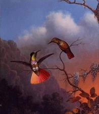 Ｏｉｌ Martin Johnson Heade - Hooded Visorbearer two happy birds dancing landscape