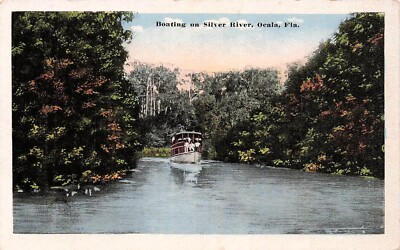 #ad Ocala FL Florida Boat Silver River Springs Botanical Garden Vtg Postcard F48 $7.97