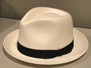 bailey of hollywood poet