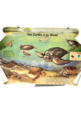 Vintage NOAA US Government Sea Turtle Of The World Retro Poster Marvin Bennett