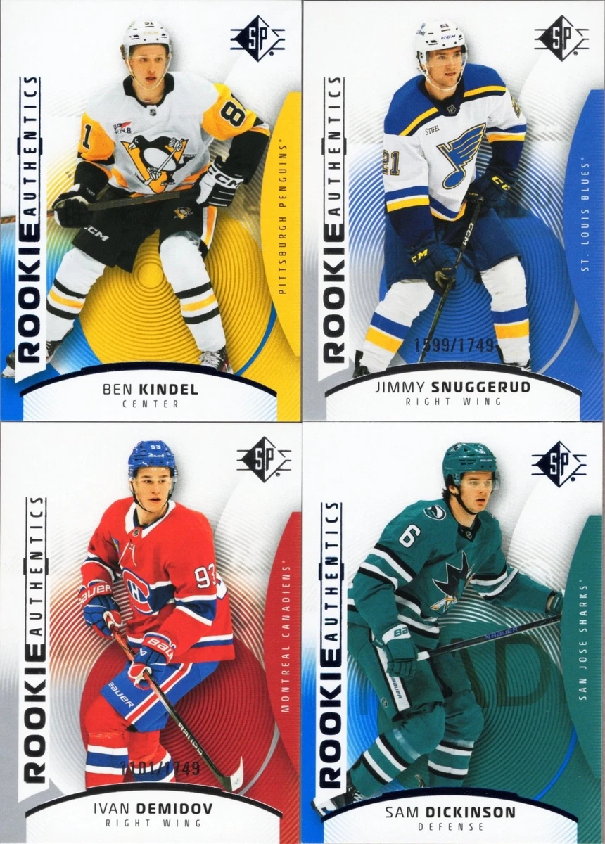 National Hockey League (NHL) Ice Hockey Minnesota Wild Sports