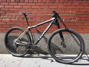 cannondale lefty 29 carbon