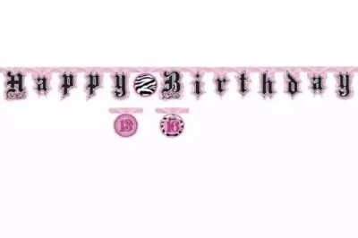 Super Stylish Pink Zebra 13th Or 16th Birthday Party Decoration Jointed Banner
