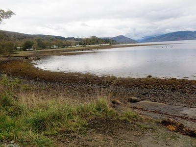 Photo 6x4 Loch Fyne shoreline looking towards the holiday park Creggans  c2017
