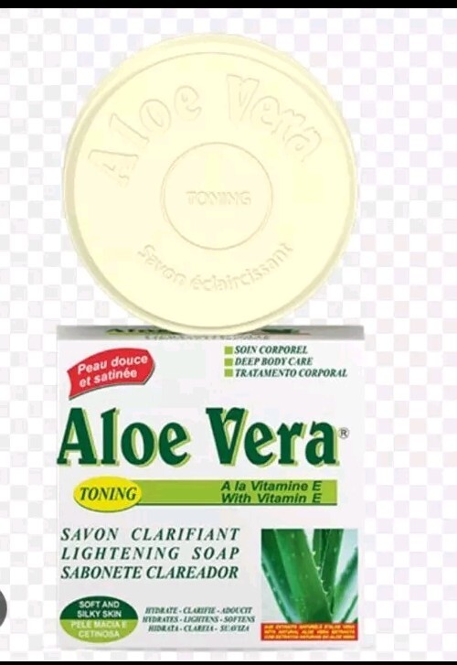 biggest aloe vera plant Large Aloe Vera Plants For Sale| Medicinal Aloe| Aloe barbadensis main image 0