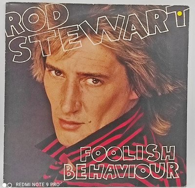 LP - Rod Stewart - Foolish Behaviour - Vinyl Album