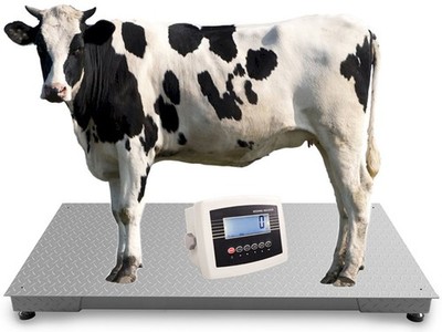 Waage Pferdewaage Viehwaage Plattformwaage Bullenwaage 3t Kühenwaage 1x2m 3000kg