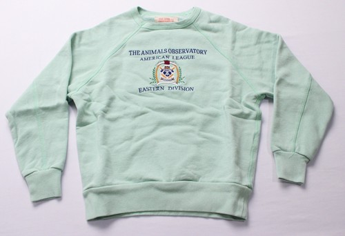The Animals Observatory Girls L/S Turquoise Shark Sweatshirt AP2 Green Size: 8