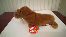 BNWT 1999 Ty Beanie Babies - Paul the Walrus - Soft Plush Stuffed Toy Sea Lion