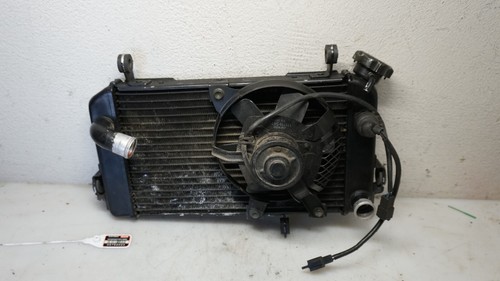 Suzuki SV 650 AV Wasserkühler mit Lüfter W 2023