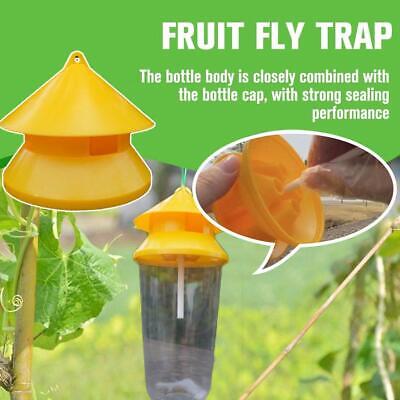 Trappola moscerini della frutta Killer in plastica gialla Drosophila Trap  Fly O1