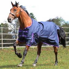 Gallop Trojan Classic Lightweight Turnout Navy/Purple