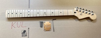 Fender Squier Stratocaster Strat Hals Neck für E Gitarre - gratis DHL Versand