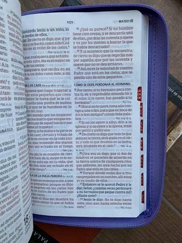 Biblia Reina Valera 1960 Letra Grande 12 Punti Con Chiusura Lila Semipiel Indice - Picture 5 of 7