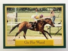 Go For Wand Magic Wand 1994 Daily Racing Form Horse Star Card KK515