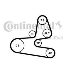 Keilrippenriemensatz CONTINENTAL CTAM 6PK1564K1 für PEUGEOT FIAT 206 BERLINGO 2A
