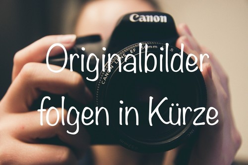 LG T8 Soundbar-Standfuß TV Standfuß kompatibel mit 55''/65'' OLED TV's