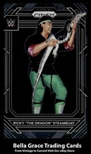 2023 Panini Prizm WWE Ricky 