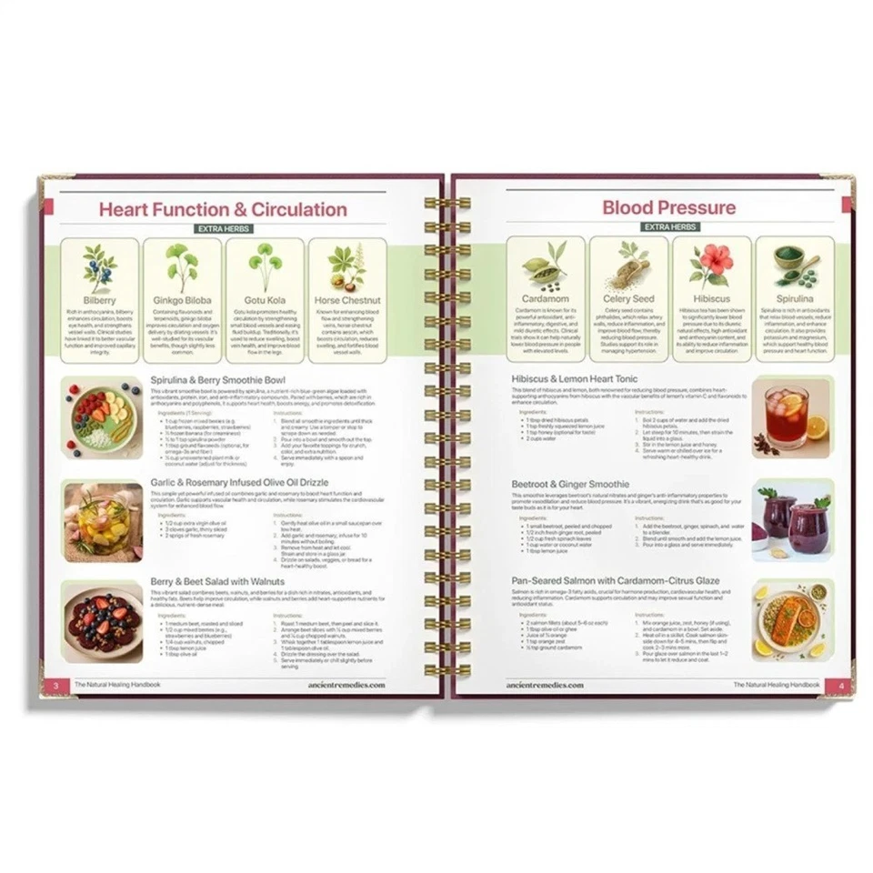 The Natural Healing Handbook, Spiral-Bound Guide for Herbal Remedies and Natural - image 4 of 4