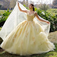 Sweetheart Neck Quinceanera Dresses 3D Flowers Applique Backless Sweet 16 Dress