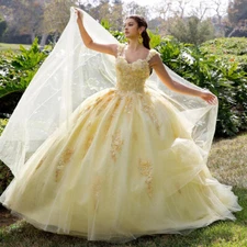 Sweetheart Neck Quinceanera Dresses 3D Flowers Applique Backless Sweet 16 Dress