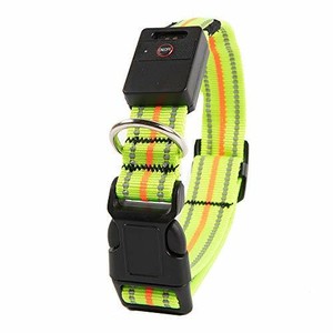ebay light up dog collar