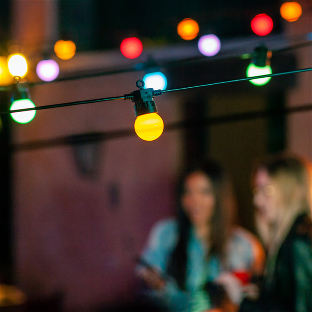 Festoon Lights  20bulbs  | Twinkly