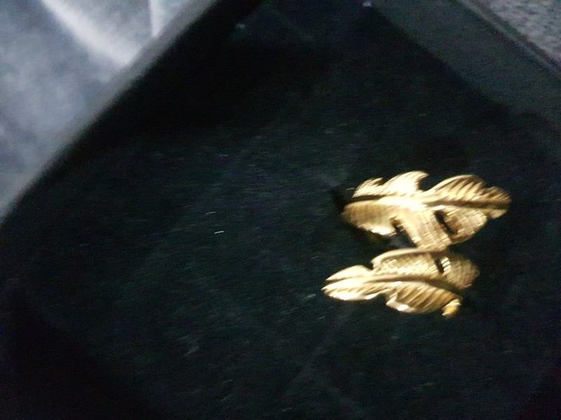 Beautiful Leaf Design Gold Plated Ring - Product main view