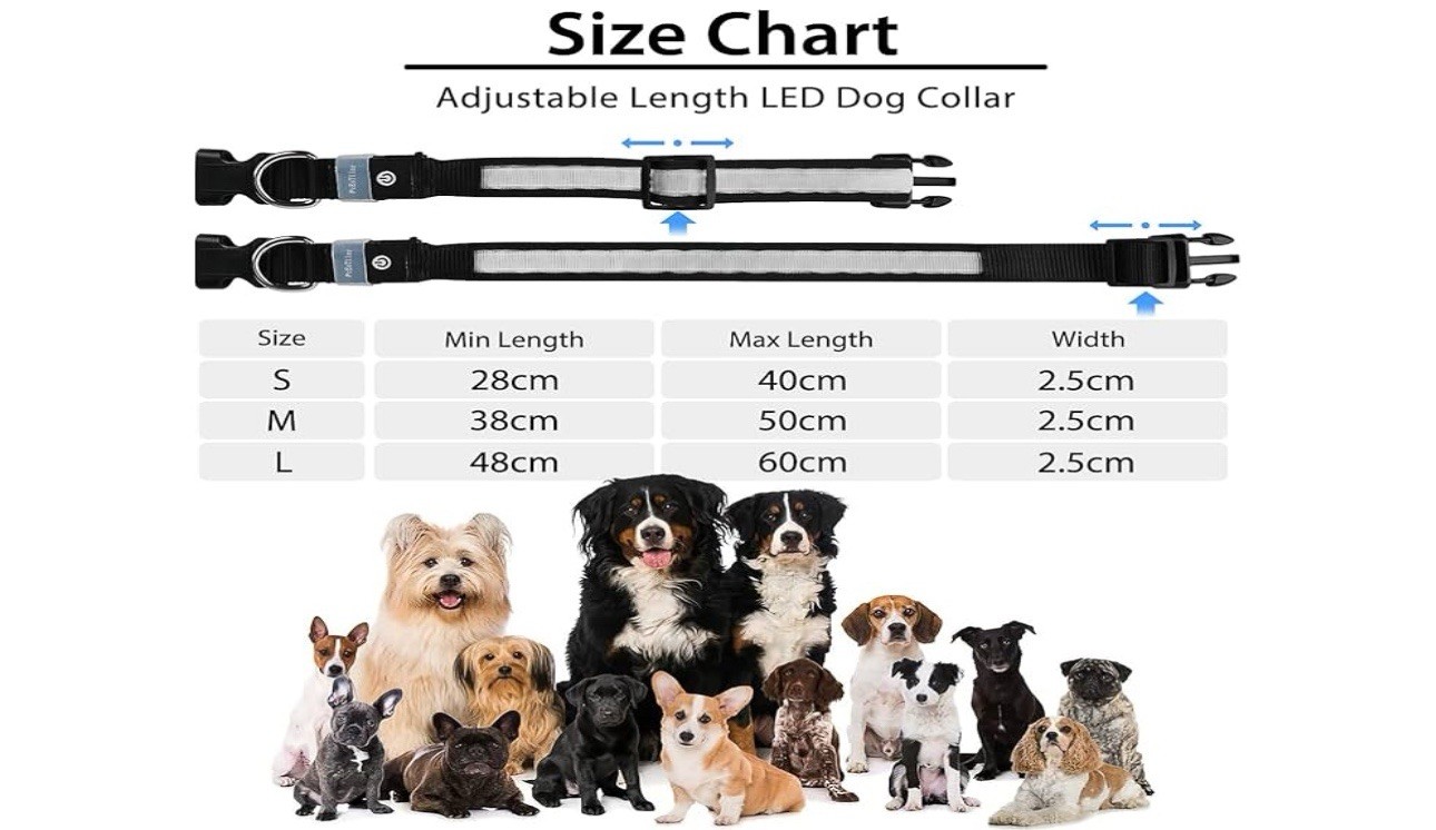 Rechargeable LED Dog Collar – Waterproof, Adjustable, Reflective, White Size L 
