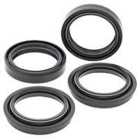 1300 Pan European / Vtx 1800 / Gl 1800 / F6C / 900 Speed Triple - Dichtungsset