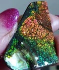 Ammolite  Ammonite   Coated Stone Color Changer 43x30.3x5mm 6218