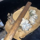 Bild 21 von 23