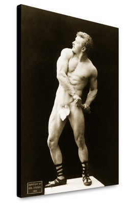Canvas Print: Eugen Sandow, Portrait, Facing Left, 1894