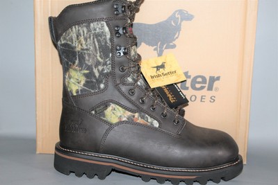 irish setter 818