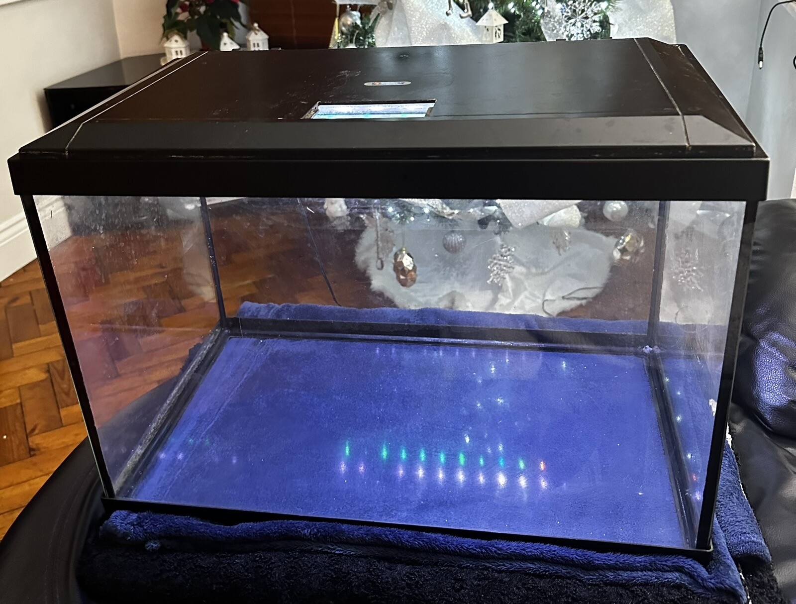 Fish Tank eBay
