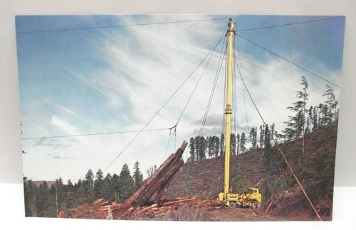 Vintage OLD GROWTH LOGGING POSTCARD YARDER LOADER WASHINGTON IRON WORKS Lot Of 2 - Picture 4 of 7