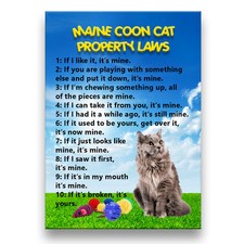 MAINE COON CAT Property Laws Fridge Magnet No 5 Funny