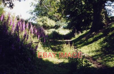 FOTO VON OFFA'S DYKE PATH IN DER NÄHE VON TREFONEN OFFA'S DYKE UND OFFA'S DYKE LANGE ENTFERNUNG