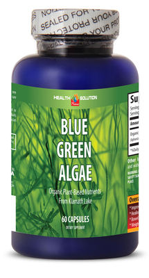 Spirulina Extract- BLUE GREEN ALGAE 500MG - Weight Loss Supplement - 1Bot