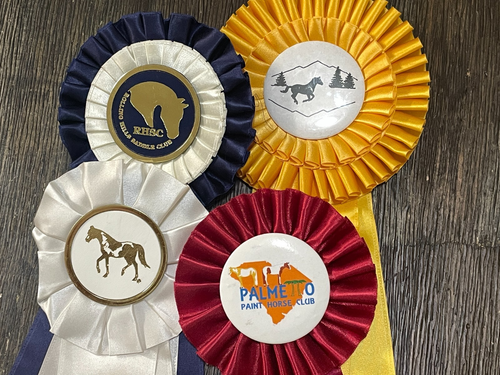 Lot 10 horse show ribbons rosettes crafts Race Watch Party Decor GA SC Clubs - 第 2/12 張圖片