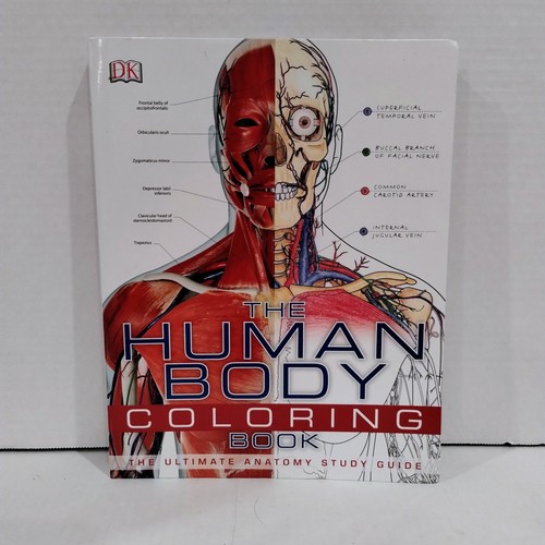 5th Grade Science Curriculum The Human Body Books and Activities Bundle - Picture 4 of 10