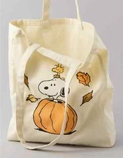 AE Fall Collection  Peanuts American Eagle Tote Bag NWT Snoopy