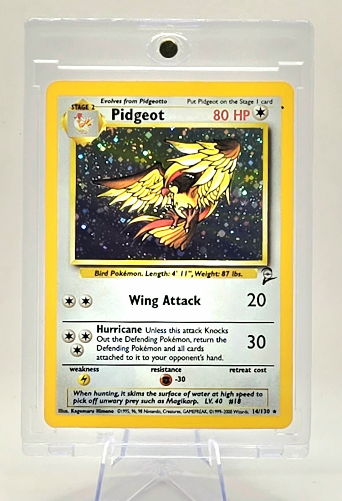 Pokémon TCG Pidgeot Holo Rare Card 14/130 Stage 2