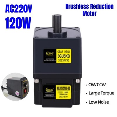 120W Brushless Reduction Motor Large Torque 3000RPM Adjustable Speed AC 220V