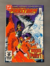 Cover of The Fury of Firestorm #27