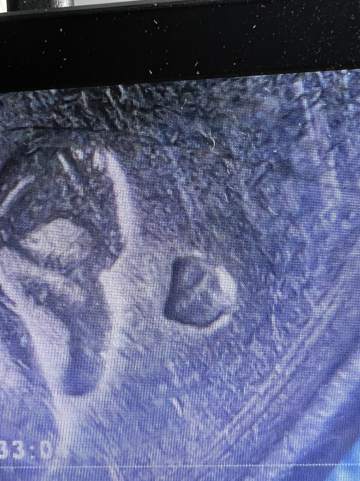 Picture 2 of 6