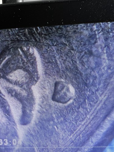 1979 D Washington Quarter Filled D Mint Mark Error Was S As You Can See It. - Picture 2 of 6